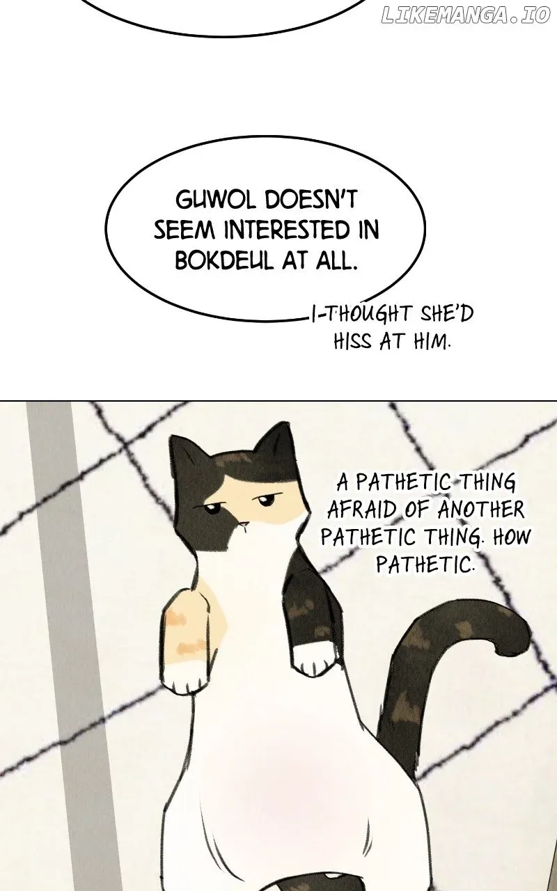 Want To See My Cat? Kainu Manga Chapter 31 Page 19