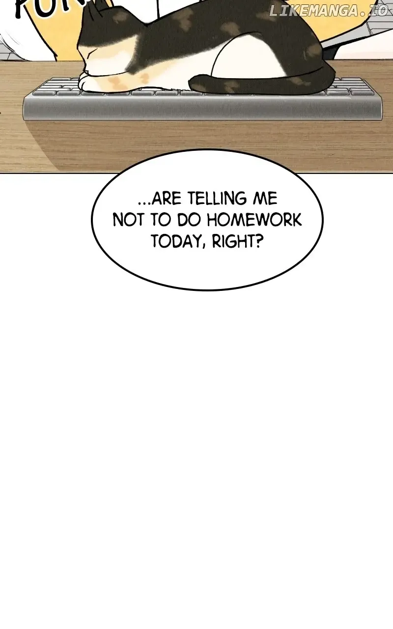 Want To See My Cat? Kainu Manga Chapter 25 Page 44