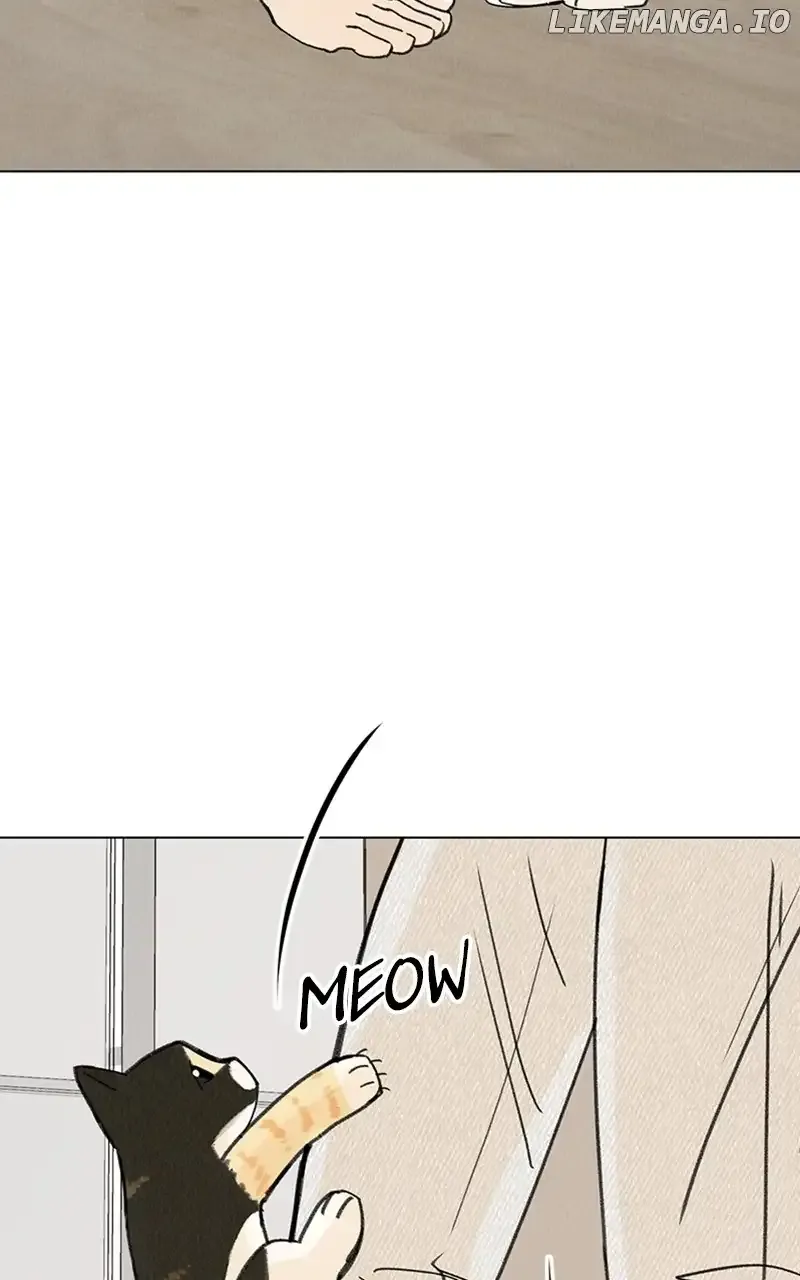 Want To See My Cat? Kainu Manga Chapter 11 Page 24