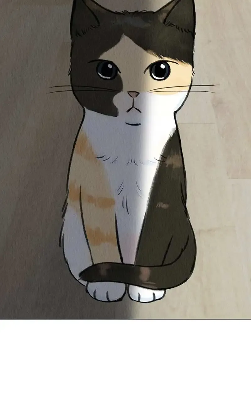 Want To See My Cat? Kainu Manga Chapter 4 Page 14