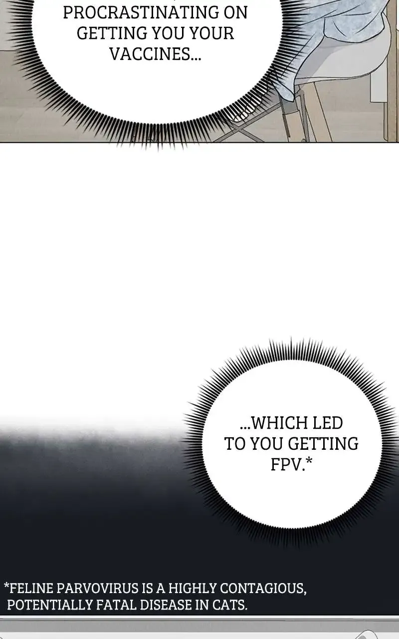 Want To See My Cat? Kainu Manga Chapter 2 Page 30