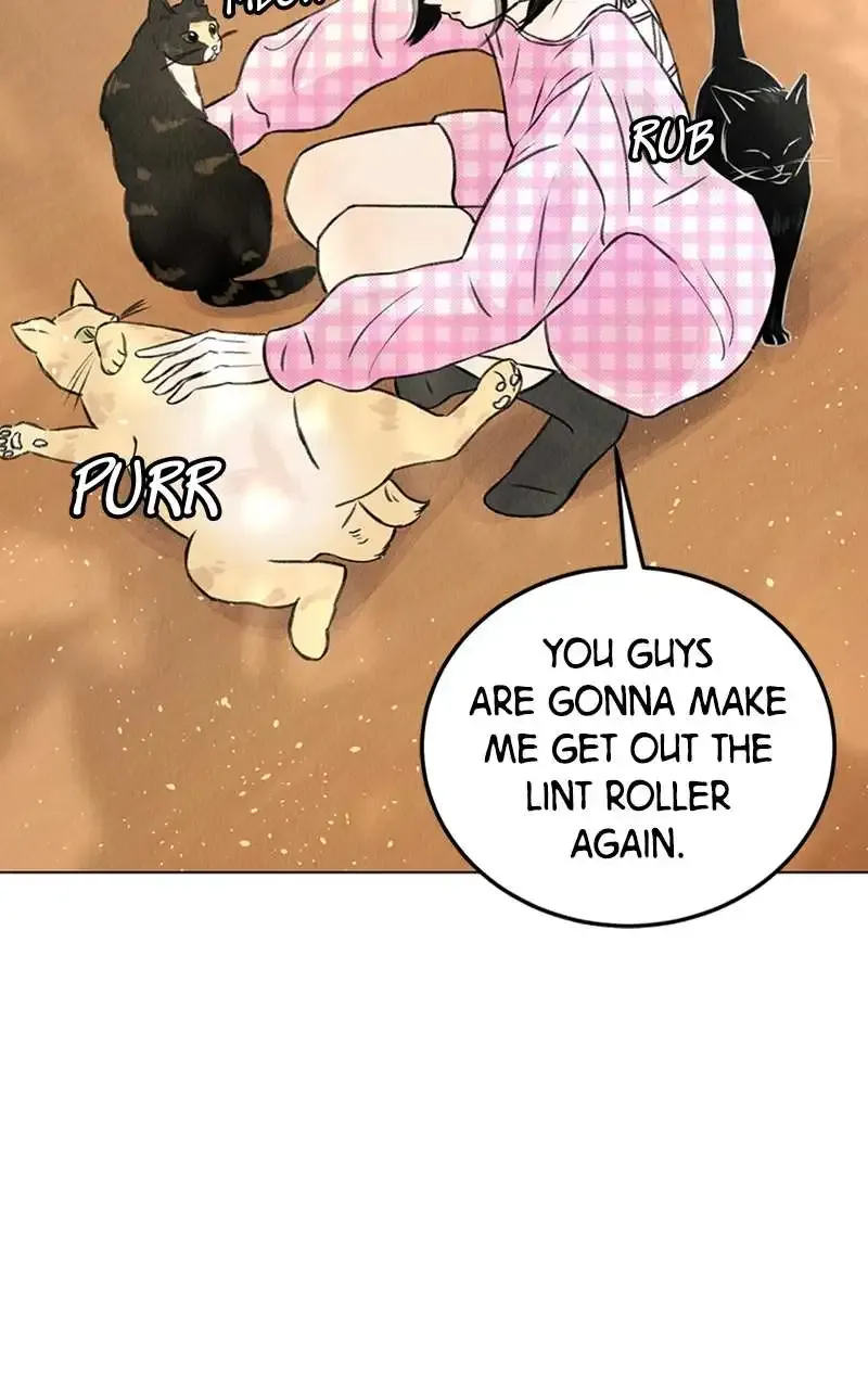 Want To See My Cat? Kainu Manga Chapter 1 Page 15