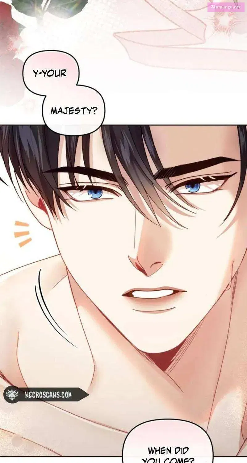 I Was The Acting Empress But I Spent The First Night With Him Kainu Manga Chapter 26 Page 41