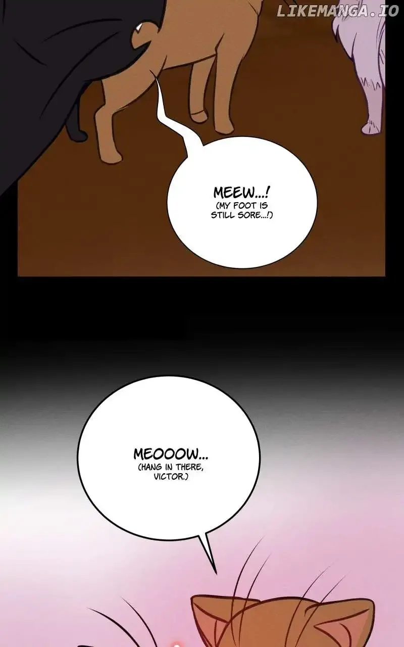 Love Me To Death Kainu Manga Chapter 85 Page 47